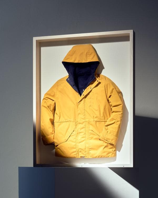 Yellow Jacket from “Dark“